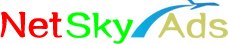 NetSkyAds logo